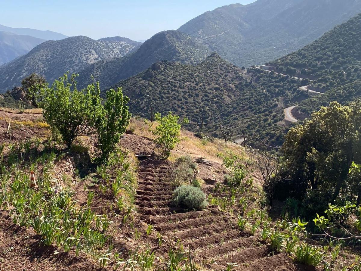 Tizintest La Haute Vue 2100M Mezdiout Luaran gambar
